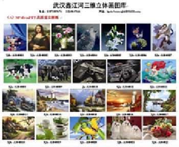 周口三維立體畫，漯河三維立體畫，南陽三維立體畫