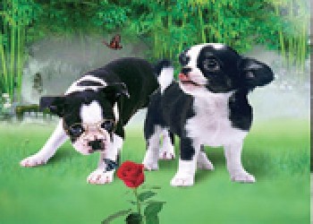 棲霞三維立體畫，海陽三維立體畫，諸城三維立體畫