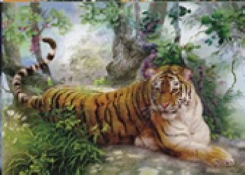 浙江三維立體畫，杭州三維立體畫，湖州三維立體畫