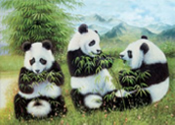 嘉興三維立體畫，紹興三維立體畫，金華三維立體畫