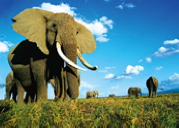 義烏三維立體畫，東陽(yáng)三維立體畫，永康三維立體畫