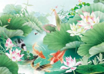 云浮三維立體畫，汕尾三維立體畫，江門三維立體畫