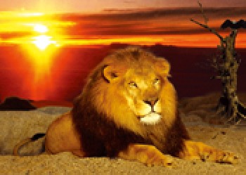 番禺三維立體畫，花都三維立體畫，增城三維立體畫