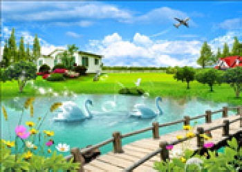 陽春三維立體畫，英德三維立體畫，普寧三維立體畫