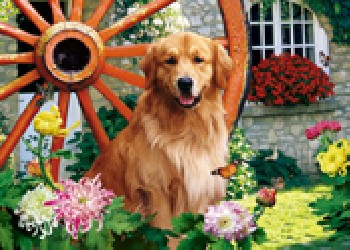 開平三維立體畫，鶴山三維立體畫，恩平三維立體畫