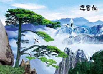 岑溪三維立體畫，東興三維立體畫，桂平三維立體畫