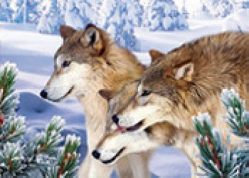 賀州三維立體畫，柳州三維立體畫，梧州三維立體畫