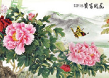 廣西三維立體畫，A三維立體畫，宜州三維立體畫