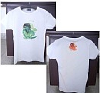 順彩,廣西個性化T恤，\南寧個性化T恤,、廣西個性化T恤