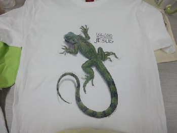 順彩|南寧個性化T恤|廣西南寧個性化T恤|廣西個性化T恤