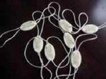 供應吊粒,服裝吊粒.廣州吊粒,廣東吊粒等等