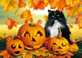 供應(yīng)都江堰三維立體畫(huà)，邛崍*三維立體畫(huà)