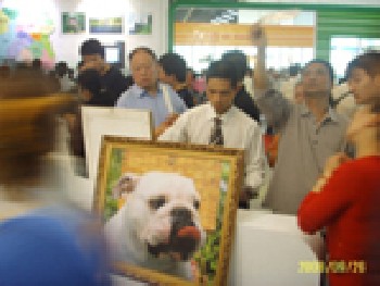 玉溪三維立體畫(huà)，臨滄三維立體畫(huà)，普洱三維立體畫(huà)