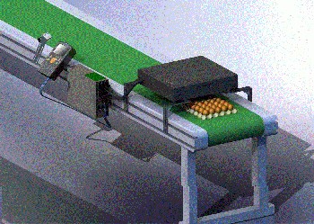 小霸王雞蛋噴碼機