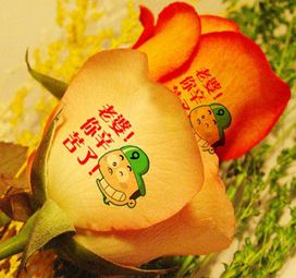 心語鮮花噴繪機(jī),鮮花打印機(jī),鮮花刻字機(jī),說話玫瑰,話語