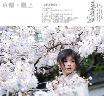 白畫布/油畫布/無紡布/化纖油畫布/金銀泊片/，，，等
