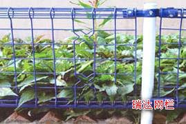 公路隔離柵