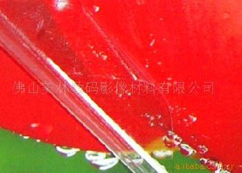 廣告膜/冷裱膜