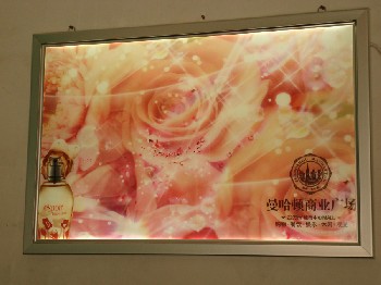 超薄燈箱（特價350元每平米限量）