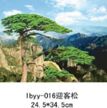 立體技術(shù)培訓