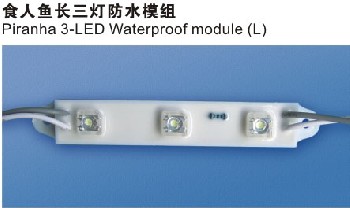 食人魚3-LED防水模組