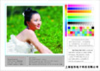高光白畫布（絲光絹布）