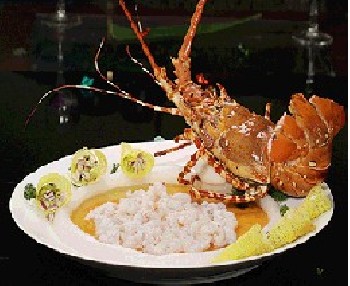 專業(yè)美食攝影