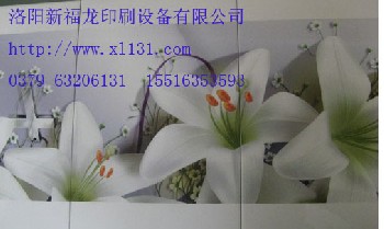 萬能打印機廠家直銷--洛陽新福龍印刷設(shè)備